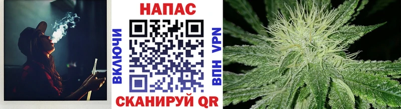 купить закладку  Невинномысск  Конопля конопля 